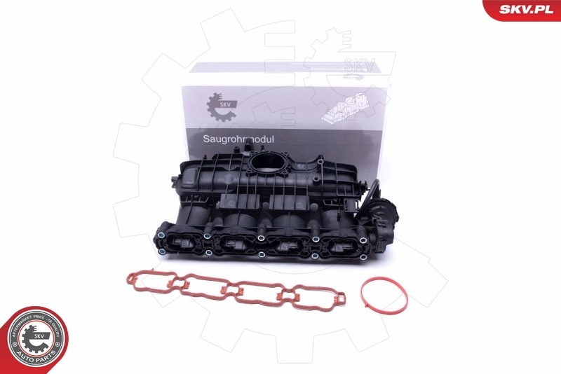 Intake Manifold Module